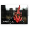 Thanks_hen_web_thumb.jpg