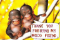 Thanks_mocofriend_web_thumb.gif