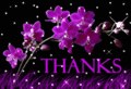 Thanks_purpleorchid_web_thumb.gif