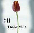 Thanks_thumbuptulip_web_thumb.jpg