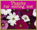 Thanks_welshflowerz_web_thumb.gif