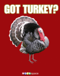 Thanksgiving_gotturkey_web_thumb.gif