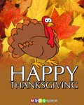Thanksgiving_happythanks_web_thumb.gif