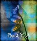 Thankyou_12p_web_thumb.jpg