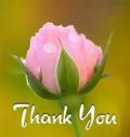 Thankyou_12rose_web_thumb.jpg
