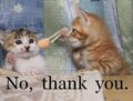 Thankyou_nothanku_web_thumb.jpg