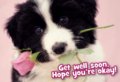 Thinking_getwellpup_web_thumb.jpg