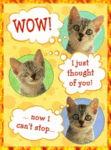 Thinking_kittenz_web_thumb.gif