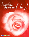 Thinking_luvspecialday_web_thumb.gif