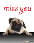 Thinking_missyou_web_thumb.gif