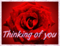 Thinking_rosebabe_web_thumb.gif
