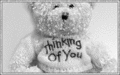 Thinking_silverbear_web_thumb.gif