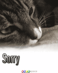 Thinking_sorry4loss_web_thumb.gif