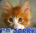 Thinking_sorrykat_web_thumb.jpg