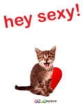 Valentines_heysexy_web_thumb.gif