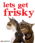 Valentines_letsgetfrisky_web_thumb.gif