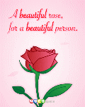 Valentines_rose_web_web_thumb.gif