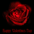 Vday_ciaorose_web_thumb.gif