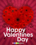 Vday_happyvalentinesday_web_thumb.gif