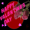 Vday_pinklexiroses_web_thumb.gif