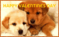 Vday_pups_web_thumb.gif