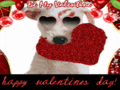 Vday_pupster_web_thumb.gif