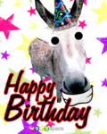 bdaydonkey_web_thumb.gif