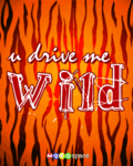drivemewild_web_thumb.gif