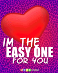 easyone_web_thumb.gif
