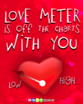 lovemeter_web_thumb.gif