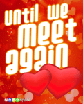 meetagain_web_thumb.gif