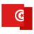 Flag of Tunisia
